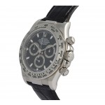  Rolex Daytona Ref. 116519