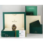  Rolex Daytona Ref. 116518LN