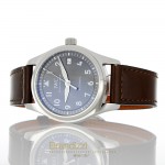  IWC Pilot Ref. 324001