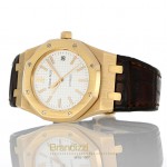  Audemars Piguet Royal Oak Ref. 15300OR