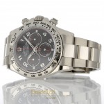  Rolex Daytona Ref . 116509