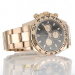  Rolex Daytona Ref. 116505