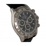  Rolex Daytona Ref. 116519