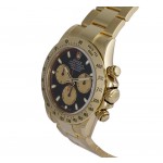  Rolex Daytona Ref. 116528