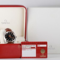 Omega Seamaster Aqua Terra Co-Axial Ref. 23112422101002