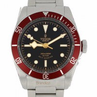 Tudor Black Bay Ref. 79220R