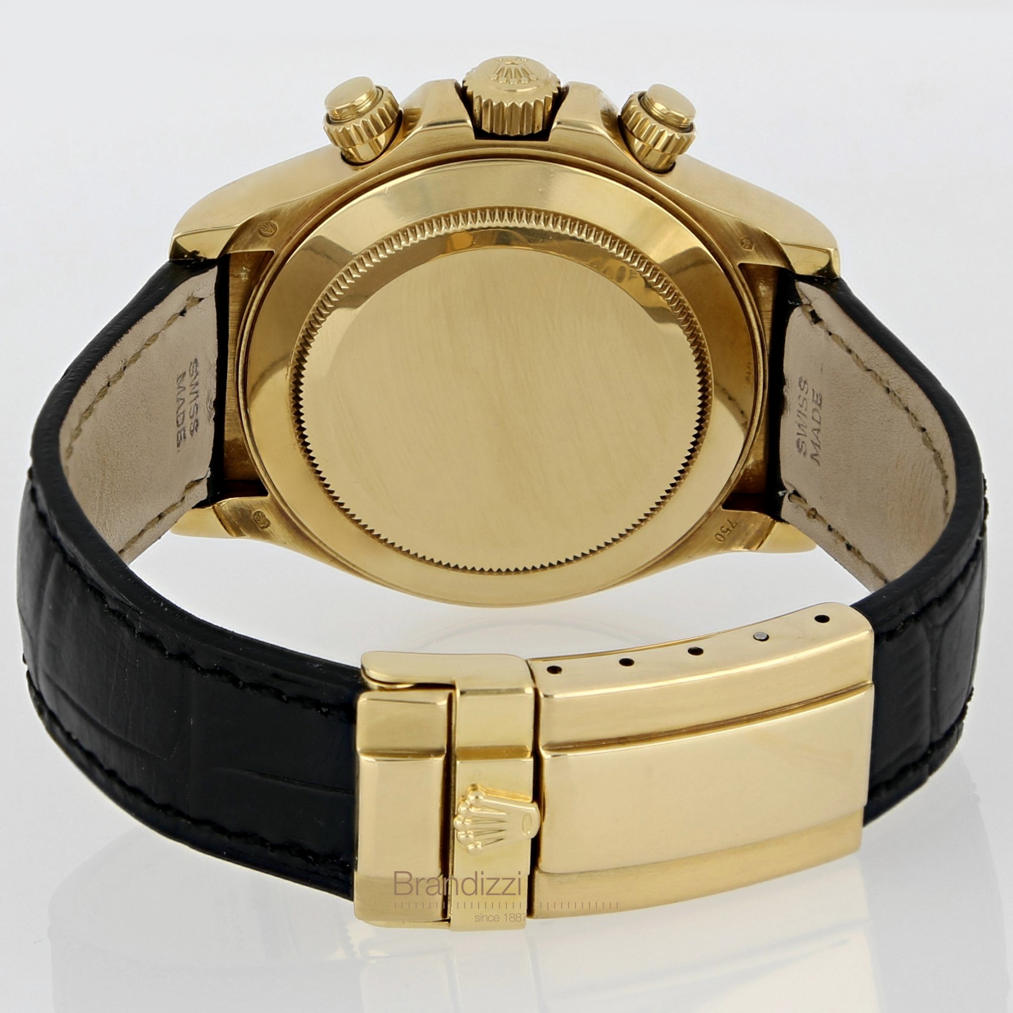 Brandizzi daytona discount