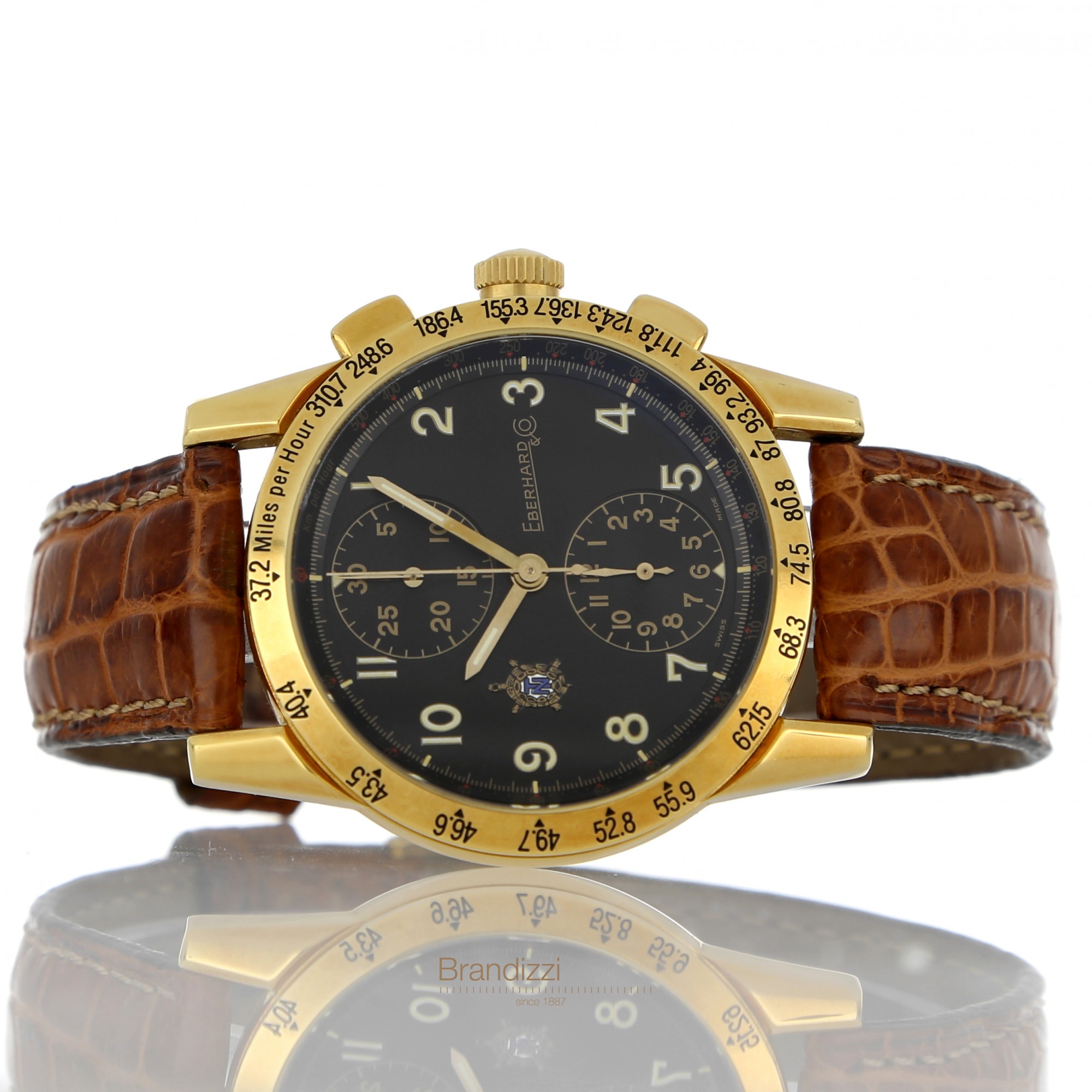 Tazio sales nuvolari eberhard