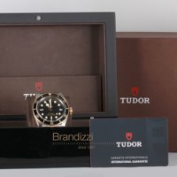 Tudor Black Bay S&G Ref. 79733N