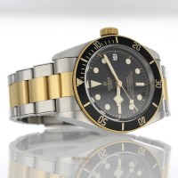 Tudor Black Bay S&G Ref. 79733N