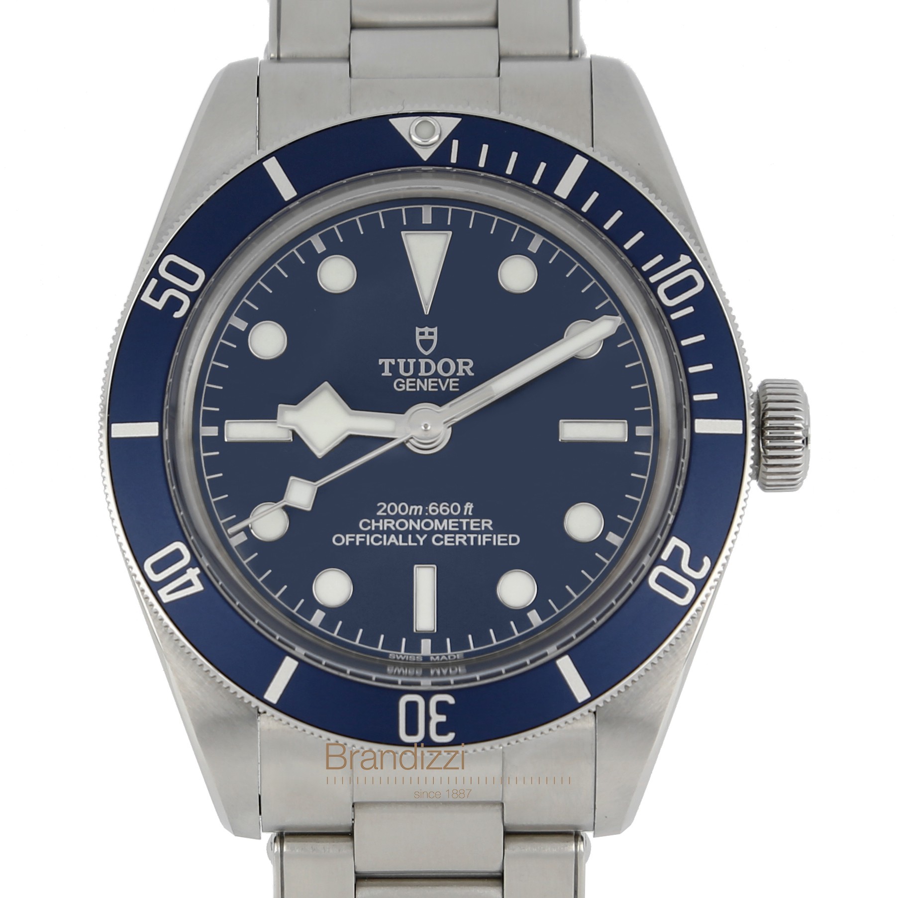 Brandizzi tudor best sale