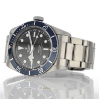 Tudor Black Bay Ref. 79220B