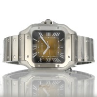 Cartier Santos Ref. WSSA0064