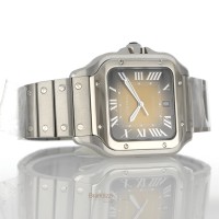 Cartier Santos Ref. WSSA0064