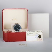 Omega Seamaster Diver 300 M Ref. 25318000