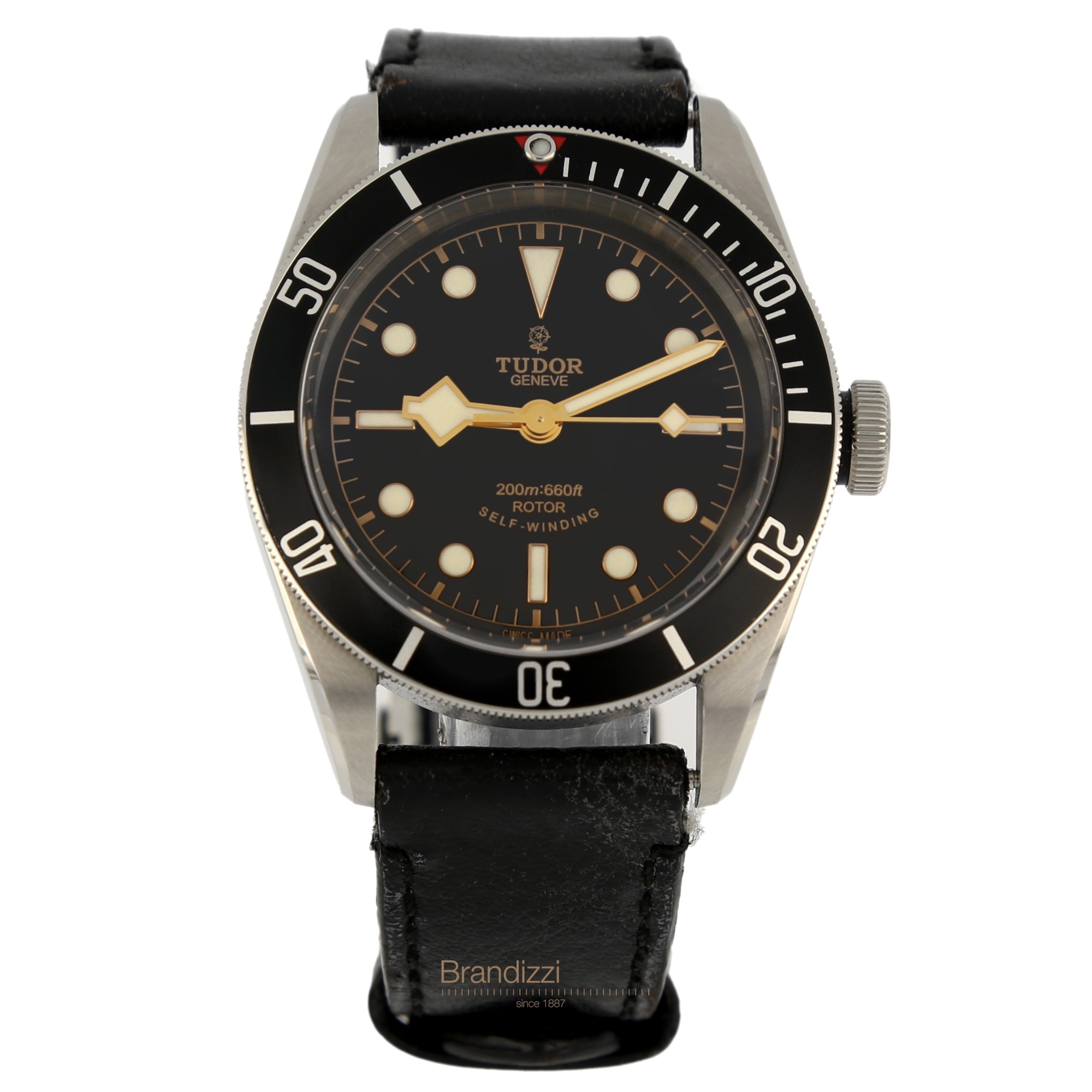 Tudor Black Bay Ref. 79220N "Smiley"