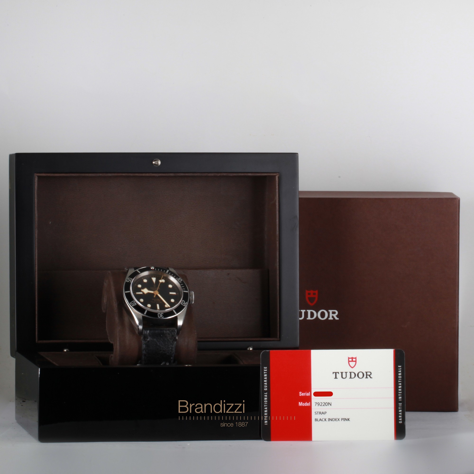 Tudor Black Bay Ref. 79220N "Smiley"