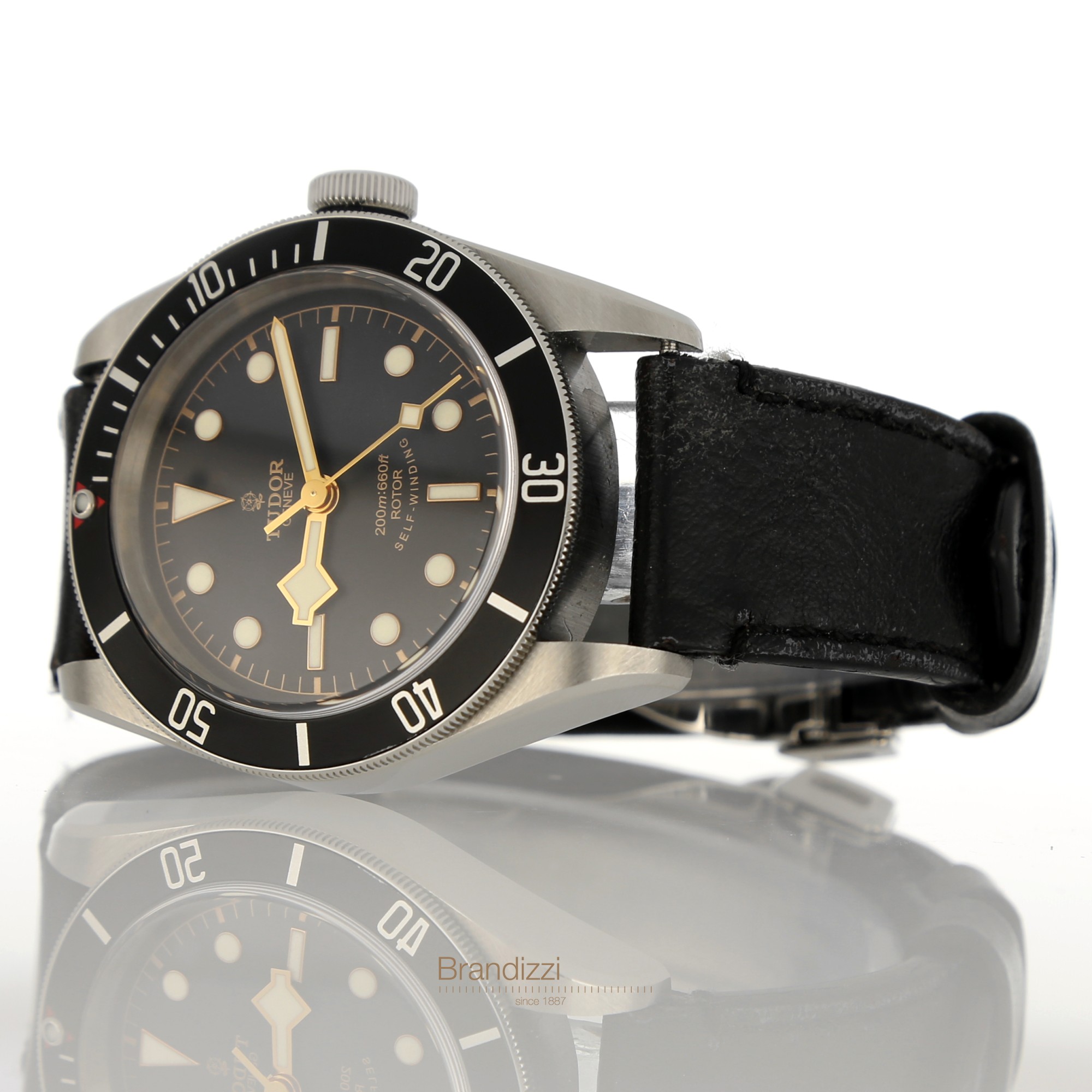 Tudor Black Bay Ref. 79220N "Smiley"