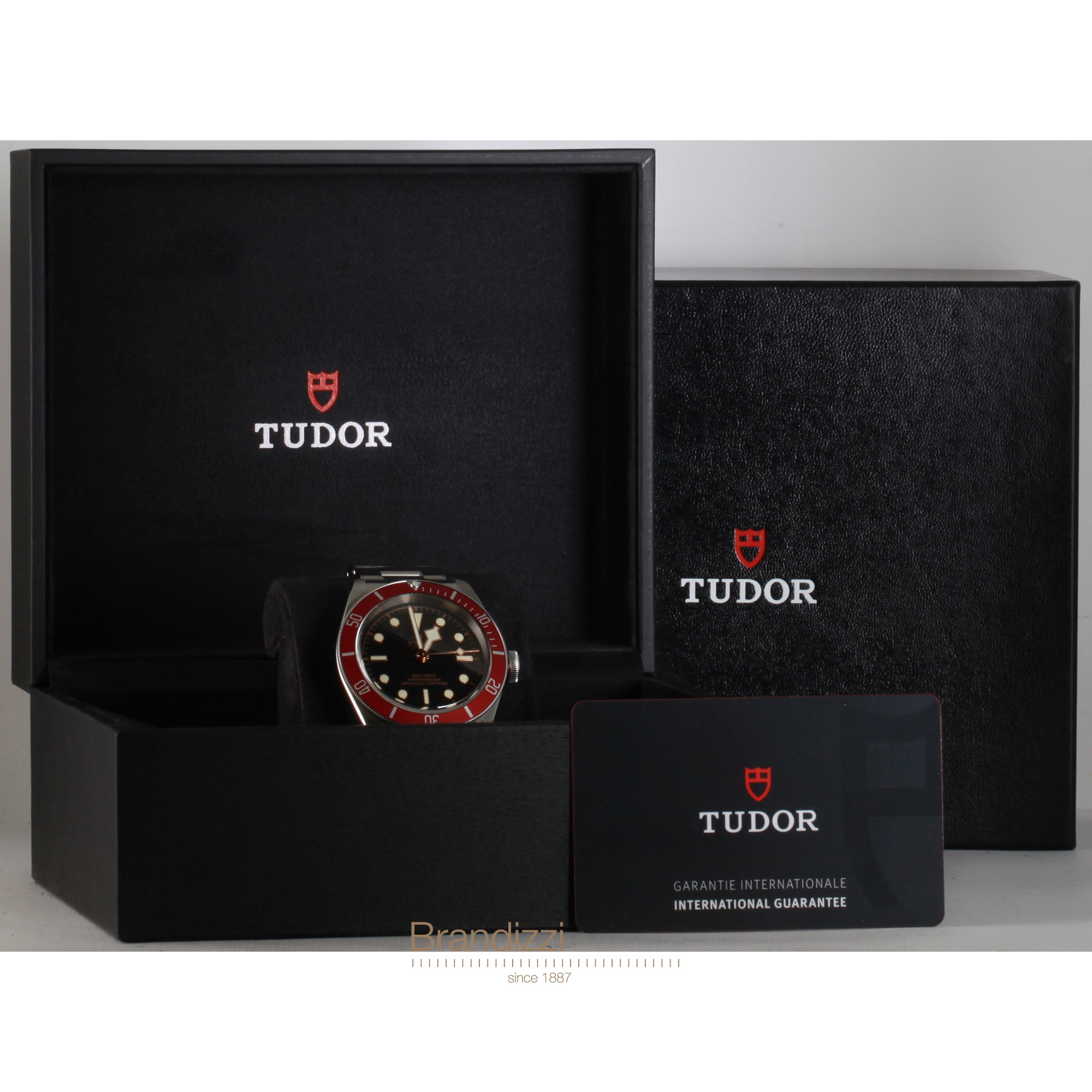 Tudor Black Bay Ref. 79230R