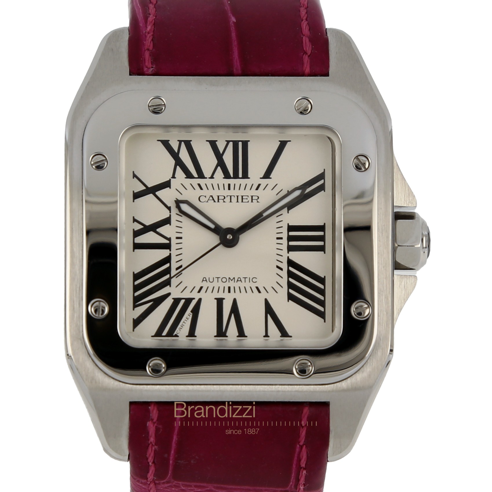 Cartier Santos 100 Ref. W20126X8 - 2878 Medium Size