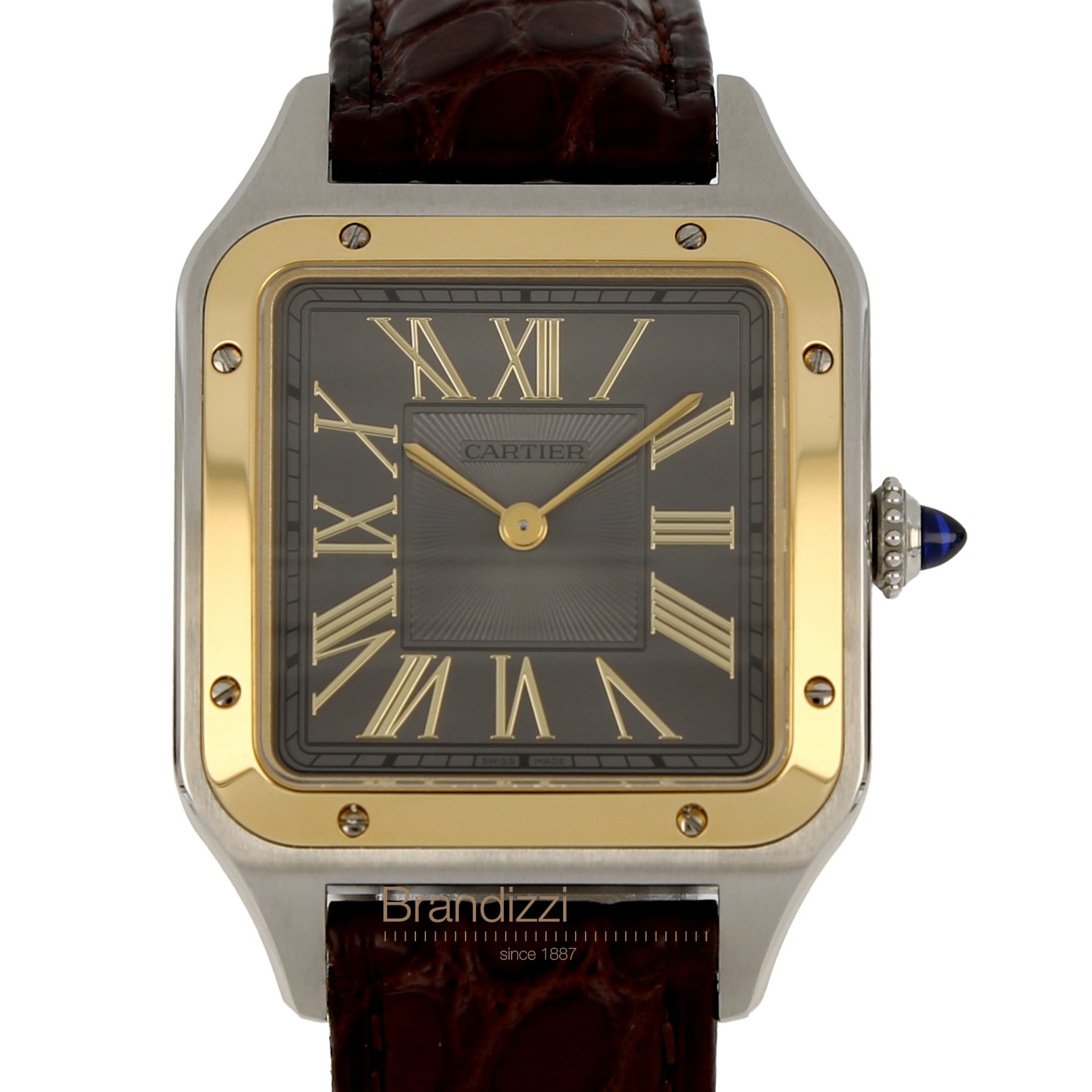Cartier Santos Dumont Ref. W2SA0028