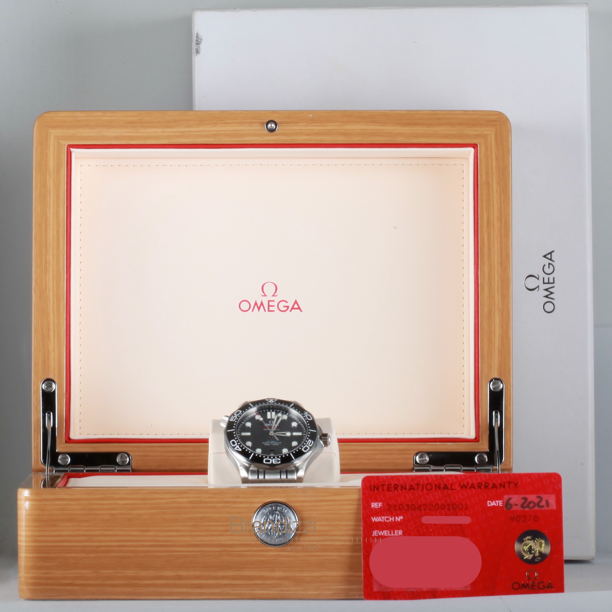 Omega Seamaster Diver 300 Ref. 21030422001001