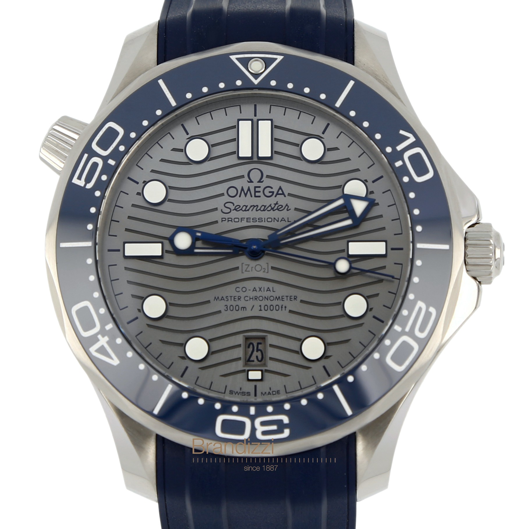 Omega Seamaster Diver 300 M Ref. 21032422006001