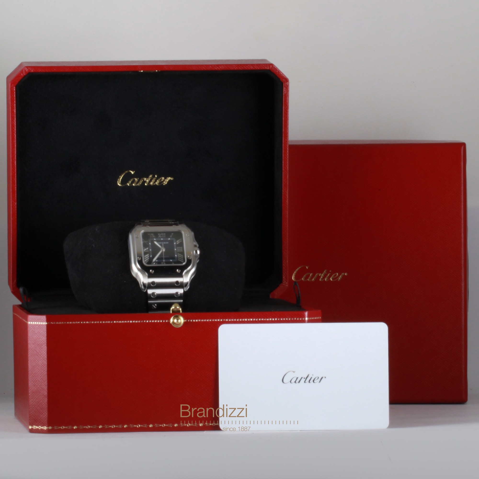 Cartier Santos Ref. WSSA0063
