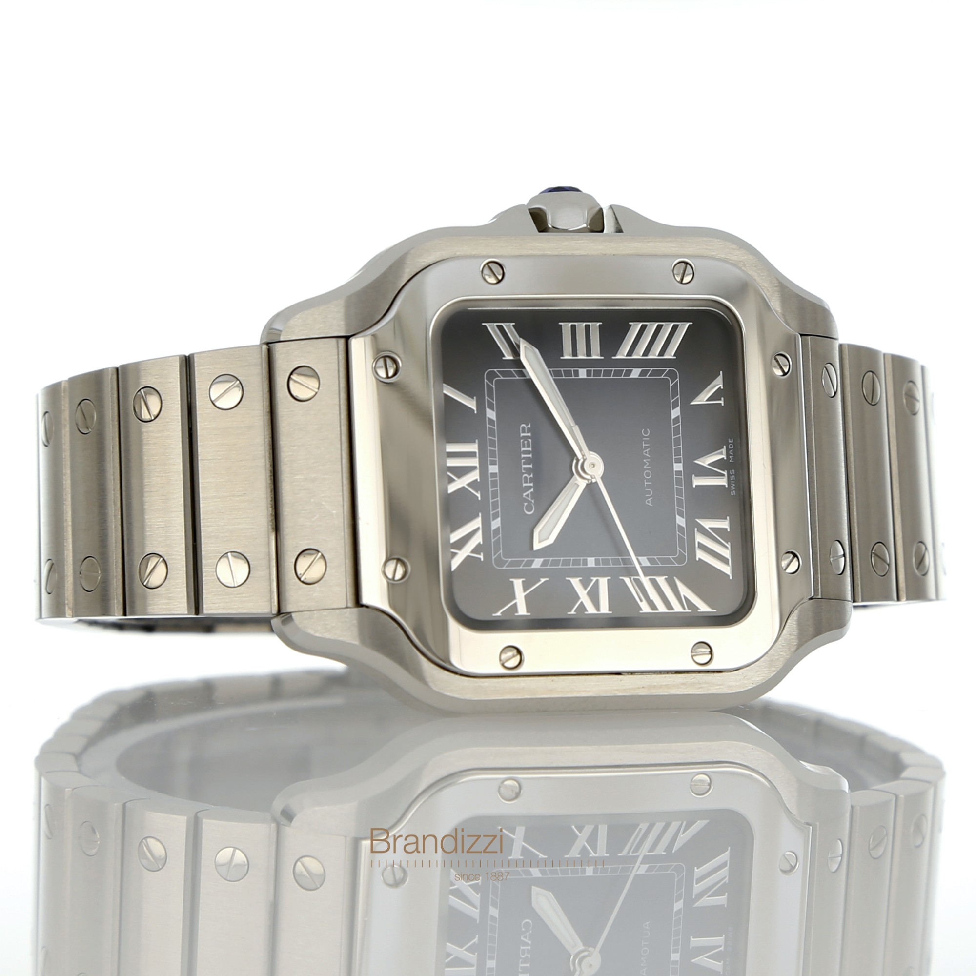 Cartier Santos Ref. WSSA0063