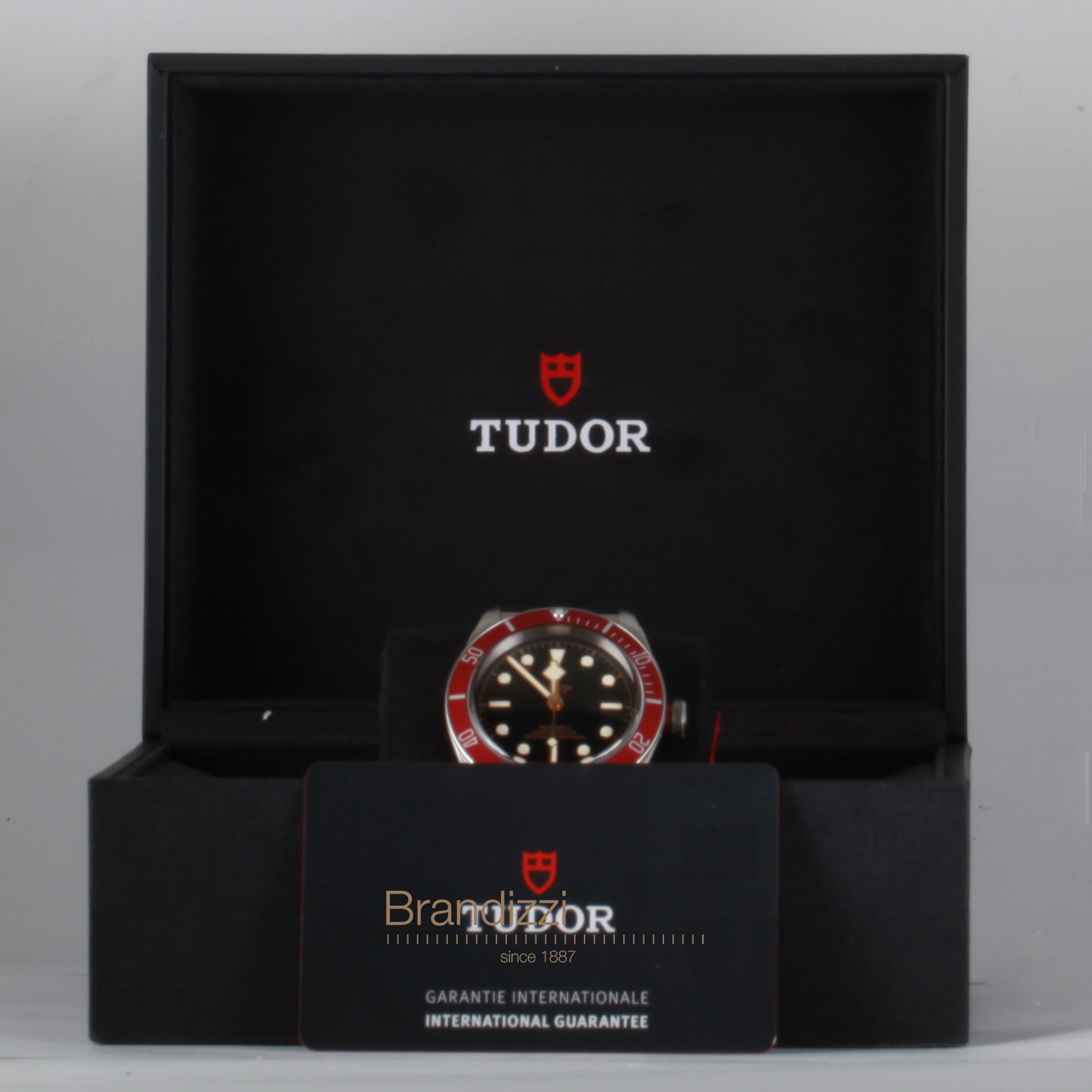 Tudor Black Bay Ref. 79230R
