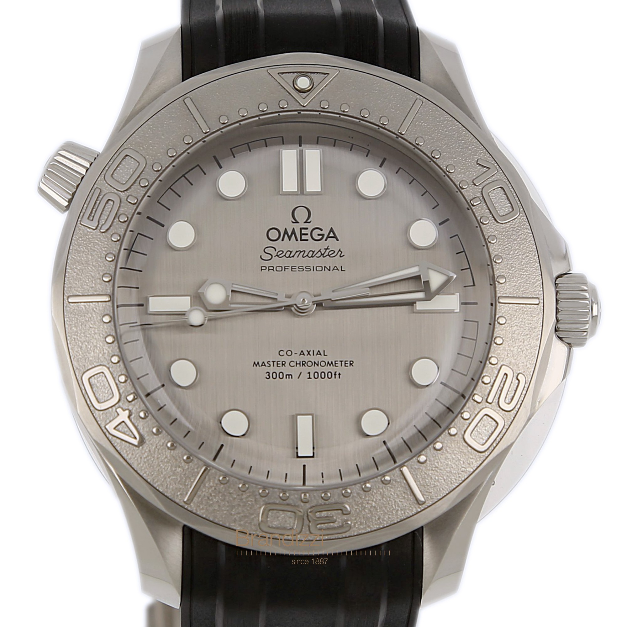 Omega Seamaster Diver 300 M Ref. 21032422006002