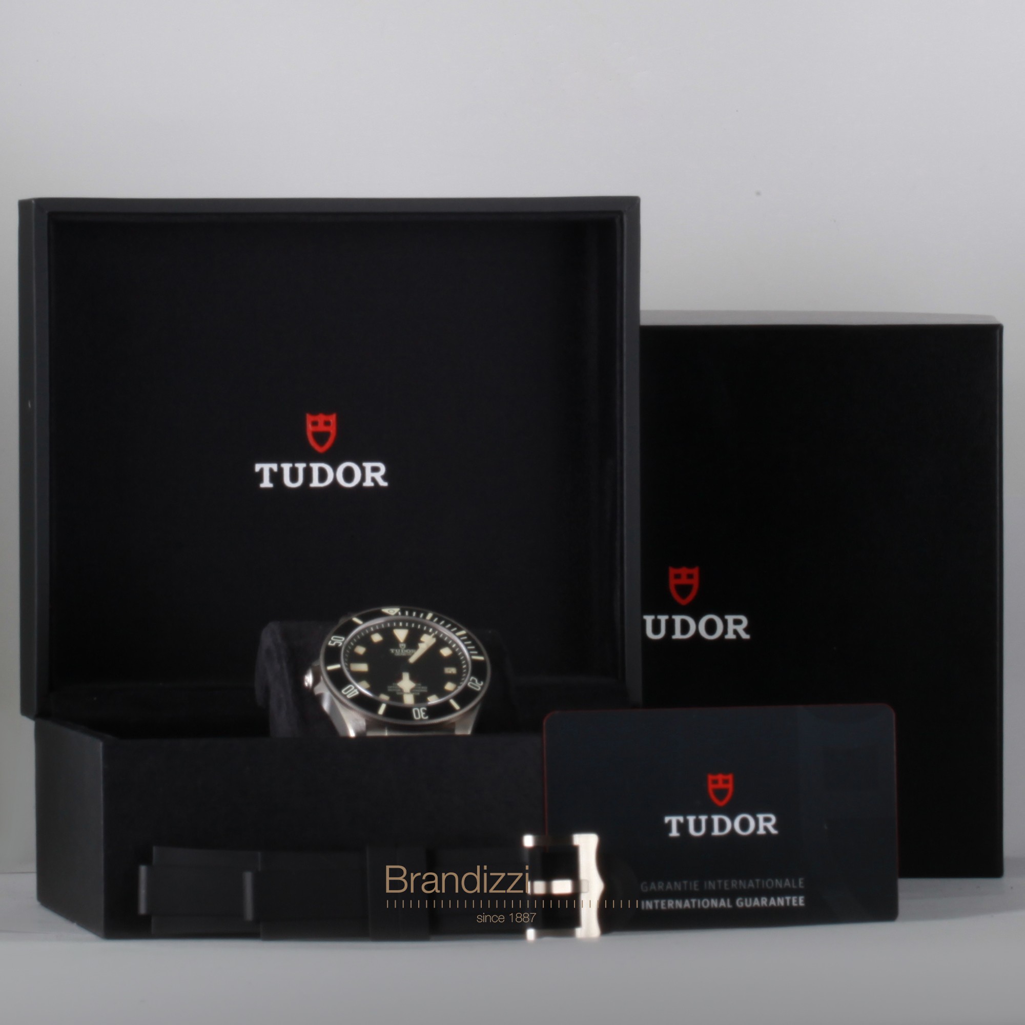 Tudor Pelagos Ref.  25610TNL